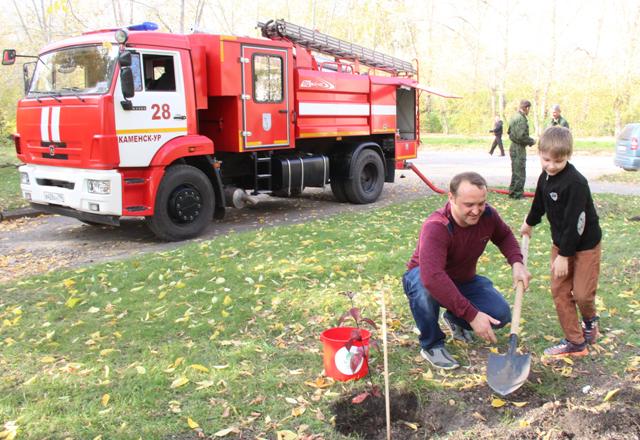 volna11018