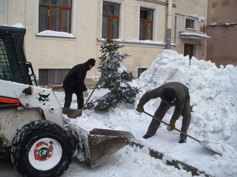 dvor60219