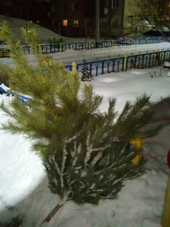 elki150119 1