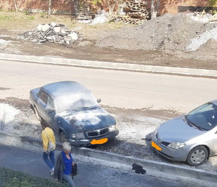 poz130919