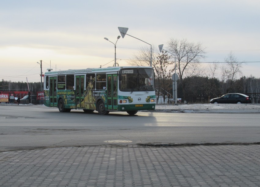 trans31219