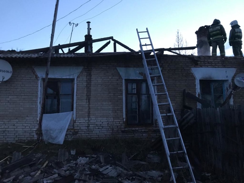 pozhar v kamenskom gorodskom okruge 1587605207190730217 800x800 1