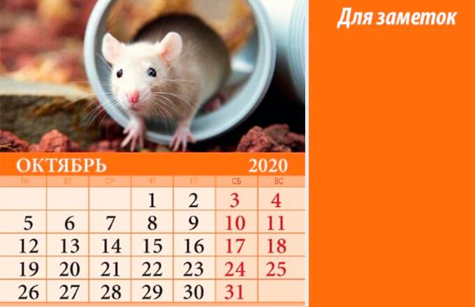 oktober21120