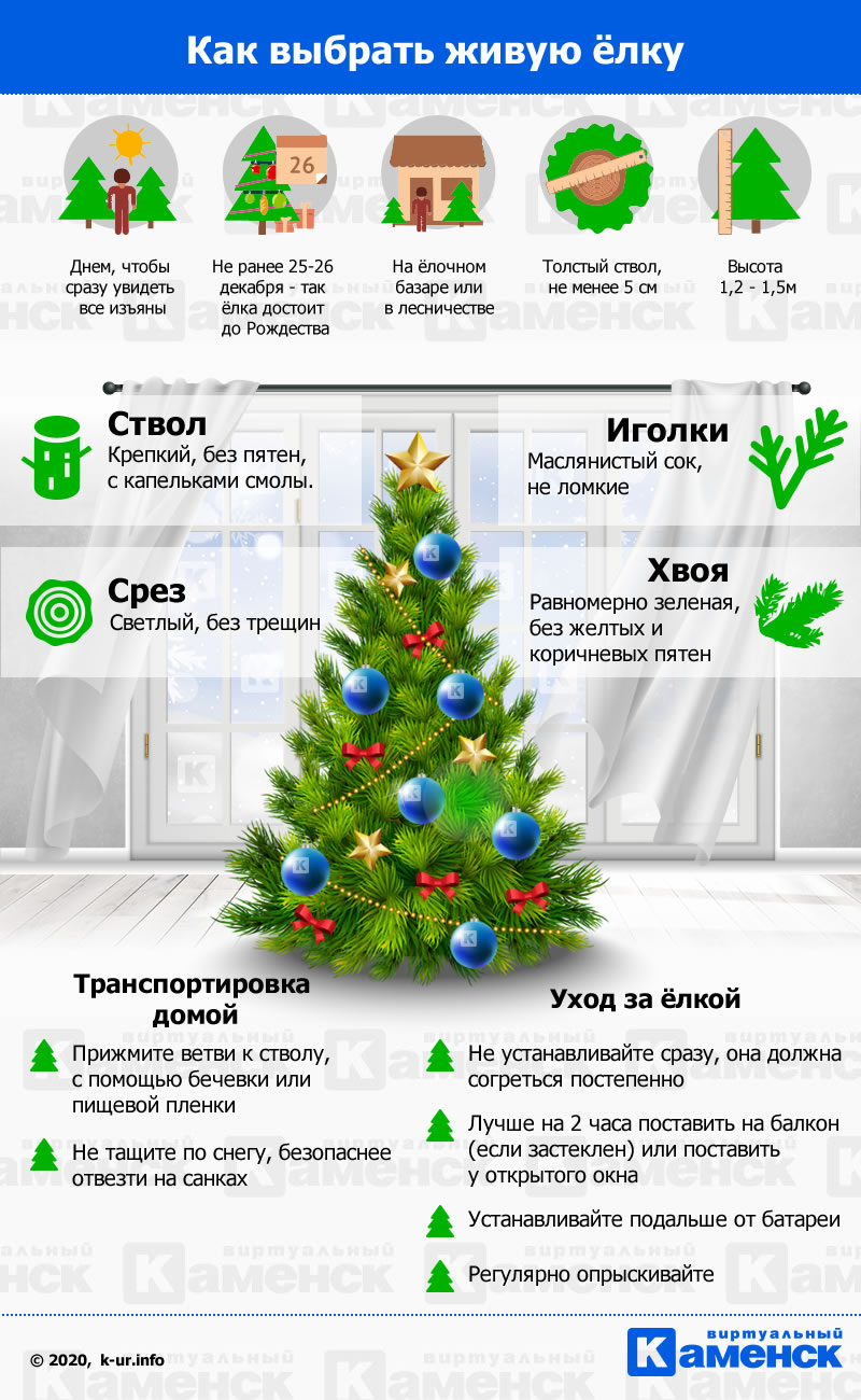 infographic christmas tree