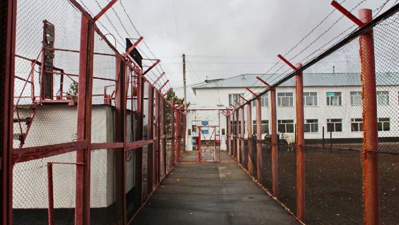 koloniy250522