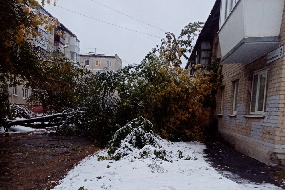 физкультурников 3