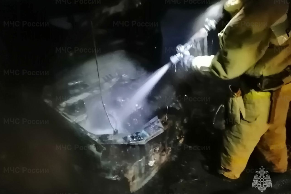 sgorel150324