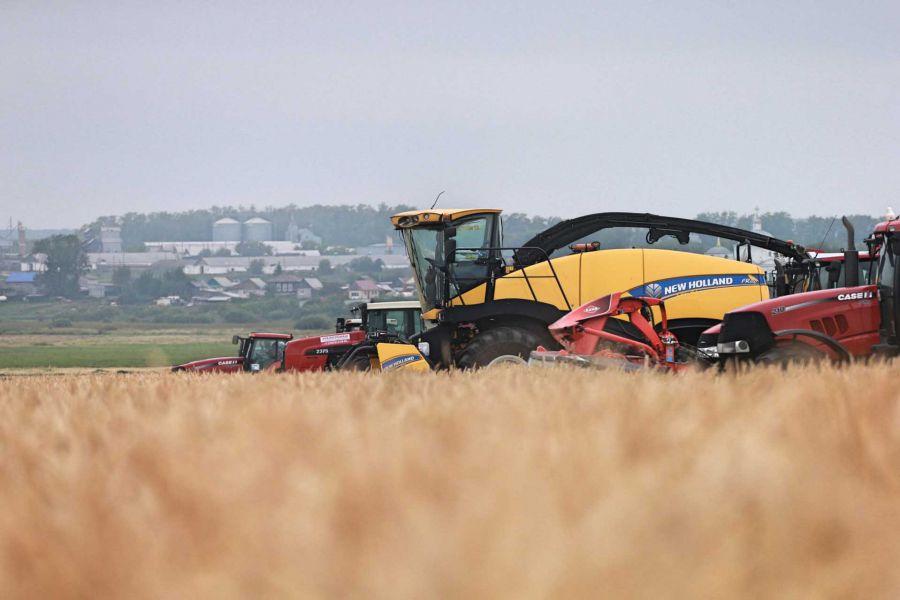 Аграрии Свердловской области убрали с полей свыше 80% зерновых культур