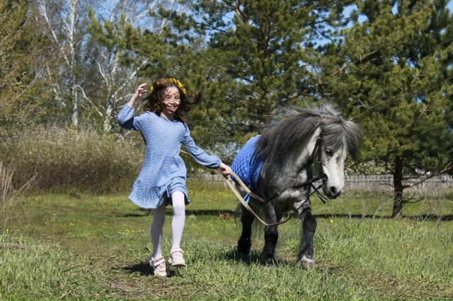 Каменская конюшня: где лошади дарят надежду