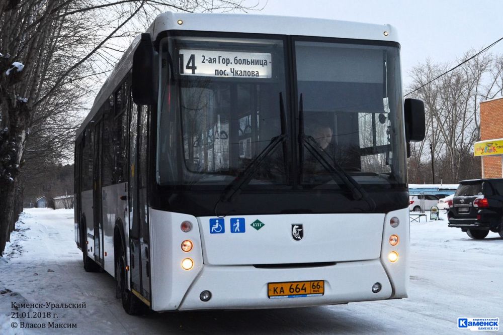 bus240919