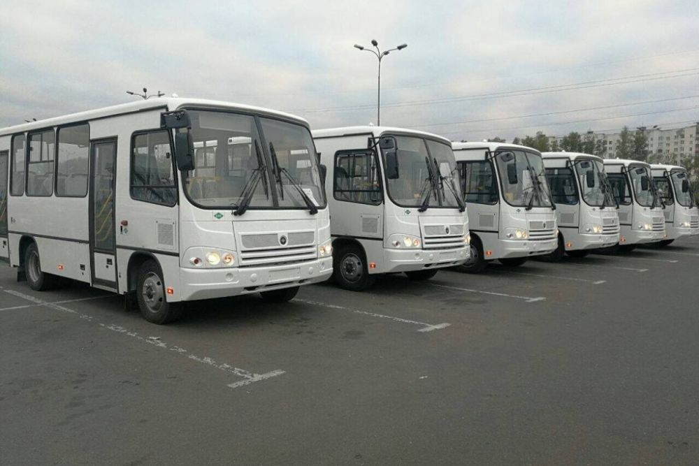 bus30420