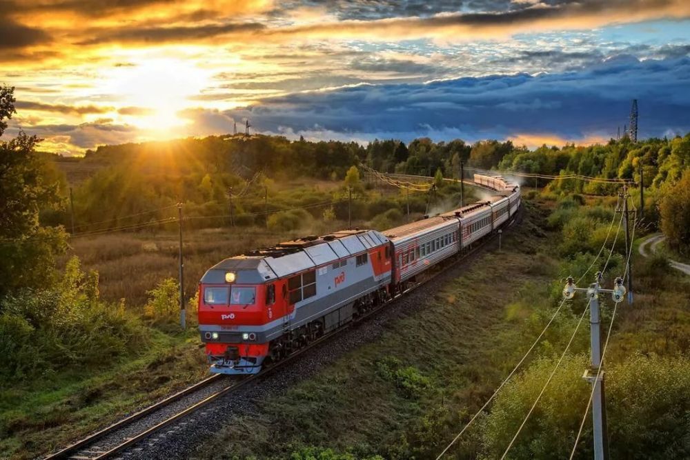 dor50820