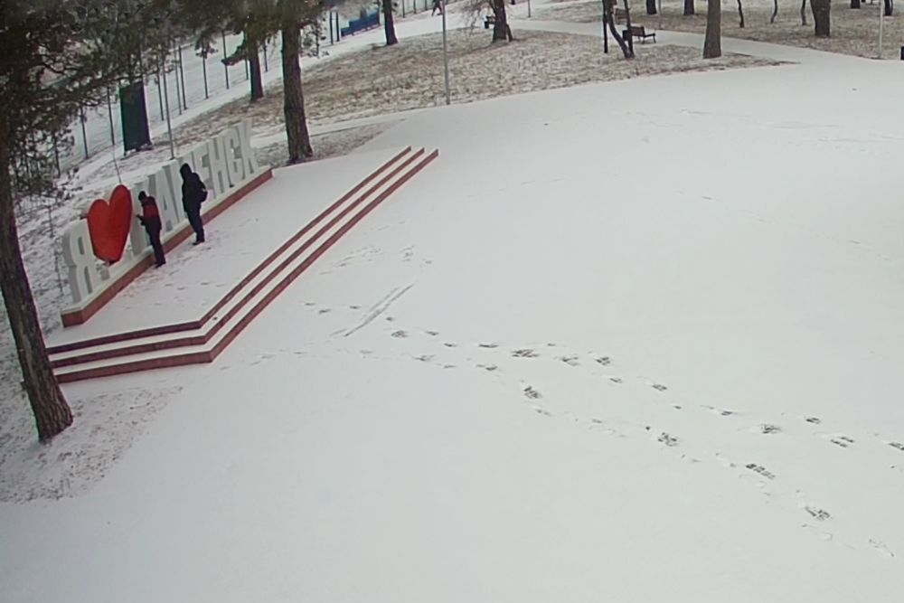 vandal021121