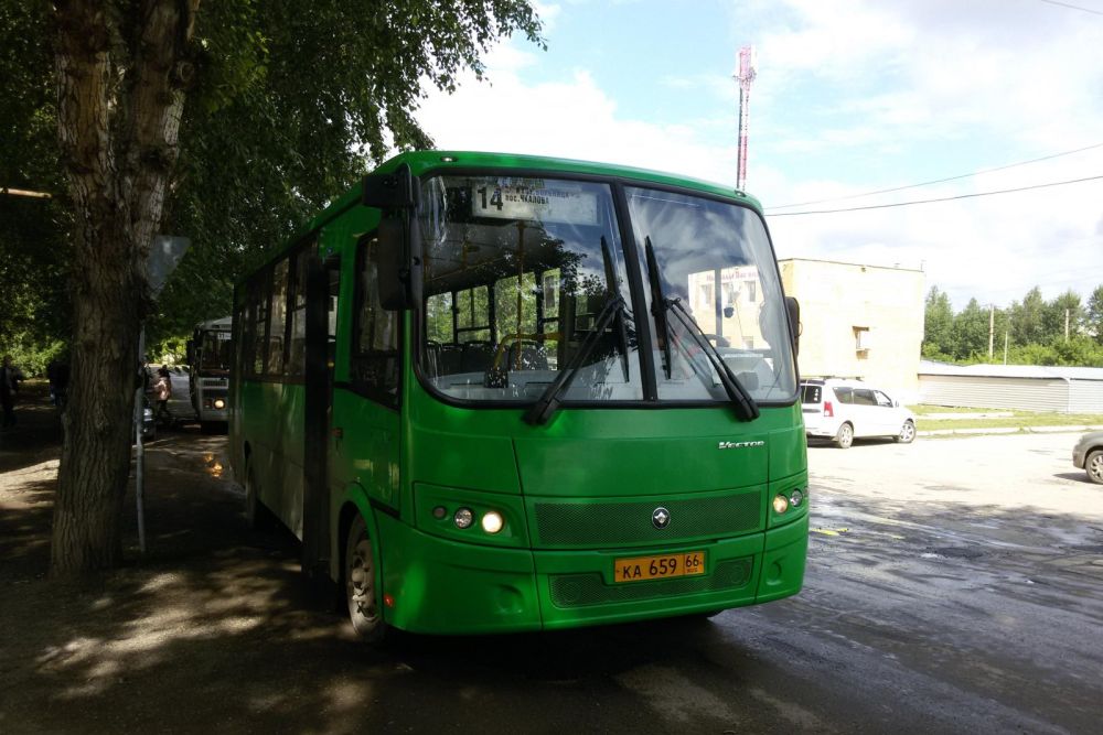 bus20621