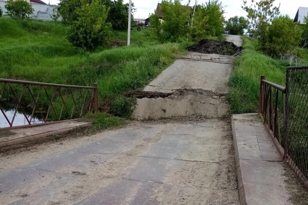 bvirako278