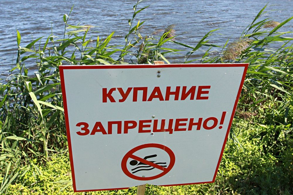 image1635754812777