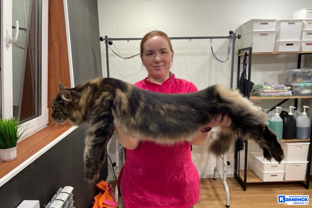 Екатерина Третьякова: о том, как в Каменске появился «Котопёс»