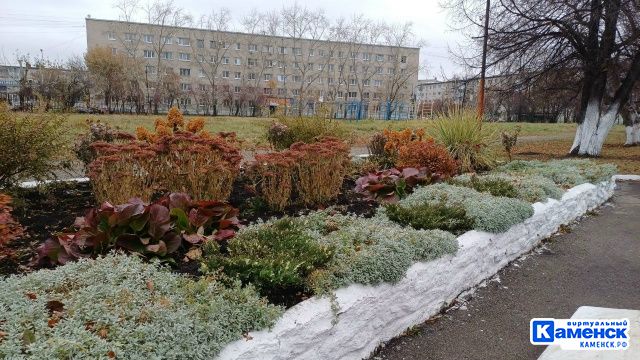«Ёлка»: команда из Каменска превратила любовь к садам в пространства, где хочется жить и мечтать