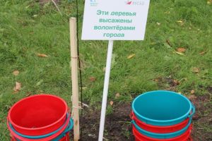 Подробнее...