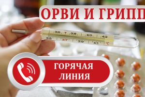 Подробнее...