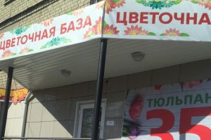 Подробнее...