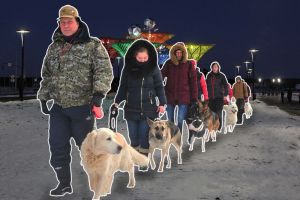 Подробнее...