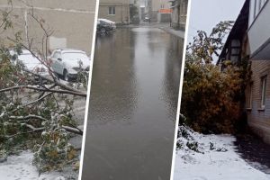 Подробнее...