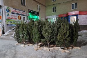 Подробнее...