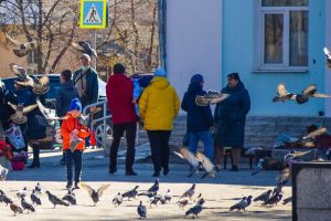 Подробнее...