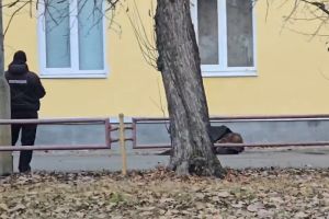 Подробнее...