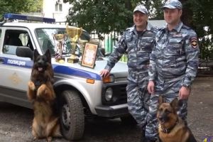 Подробнее...