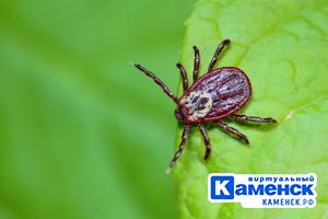 Подробнее...