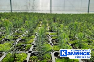 Подробнее...