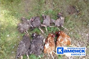 Подробнее...