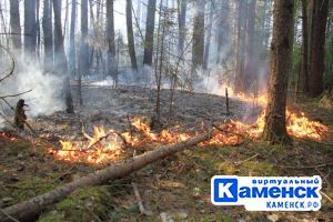 Подробнее...