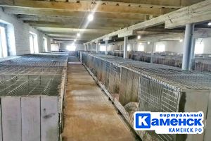 Подробнее...