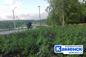 Подробнее...