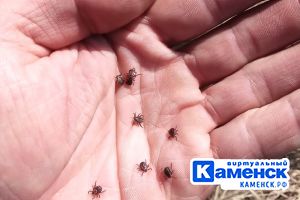 Подробнее...