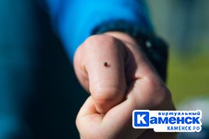 Подробнее...