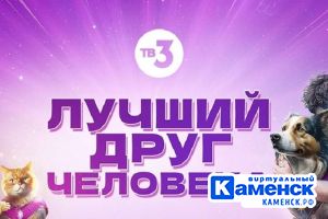 Подробнее...