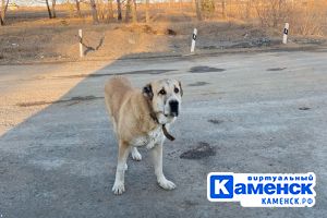 Подробнее...