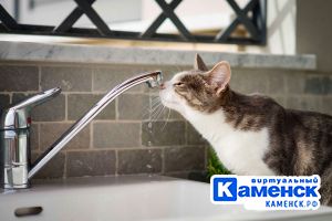 Подробнее...