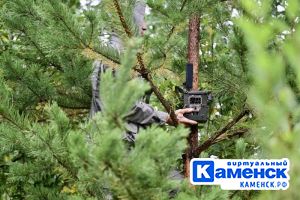 Подробнее...