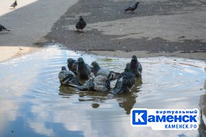 Подробнее...