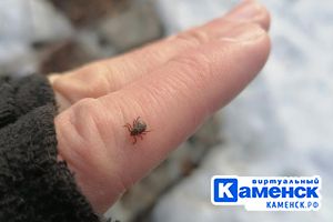 Подробнее...