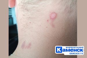 Подробнее...