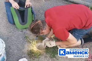 Подробнее...