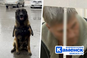 Подробнее...