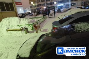 Подробнее...