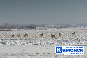 Подробнее...